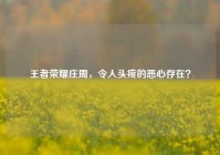 王者荣耀庄周，令人头疼的恶心存在？