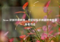 Steam 识别手柄教程，开启轻松手柄游戏体验及查看方法