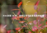 PUBG封禁 100 年，游戏公平与玩家生态的较量