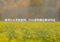 探寻PUBG手机密码，PUBG密码遗忘解决办法