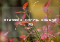 求王者荣耀账号开启峡谷之旅，号码获取方法求助