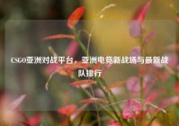 CSGO亚洲对战平台，亚洲电竞新战场与最新战队排行