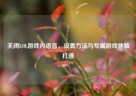 关闭LOL游戏内语音，设置方法与专属游戏体验打造