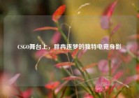CSGO舞台上，胖冉逐梦的独特电竞身影