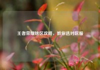 王者荣耀啥区攻略，教你选对区服