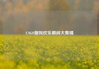 CSGO猪叫欢乐瞬间大集锦