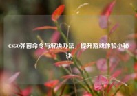 CSGO弹窗命令与解决办法，提升游戏体验小秘诀