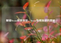 解锁Steam极致体验，Steam专用加速的奥秘