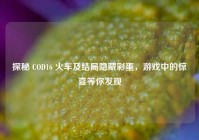 探秘 COD16 火车及结局隐藏彩蛋，游戏中的惊喜等你发现