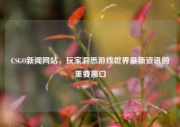 CSGO新闻网站，玩家洞悉游戏世界最新资讯的重要窗口