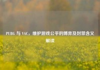 PUBG 与 VAC，维护游戏公平的博弈及封禁含义解读