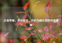 王者荣耀，梦泪解说，开启与橘右京的传奇碰撞