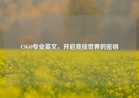 CSGO专业英文，开启竞技世界的密钥