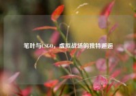 笔叶与CSGO，虚拟战场的独特邂逅