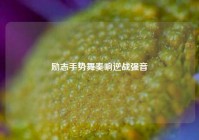 励志手势舞奏响逆战强音