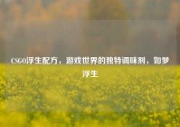 CSGO浮生配方，游戏世界的独特调味剂，如梦浮生