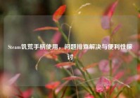 Steam饥荒手柄使用，问题排查解决与便利性探讨