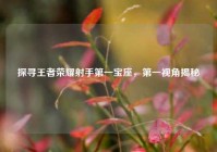 探寻王者荣耀射手第一宝座，第一视角揭秘