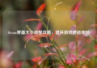 Steam界面大小调整攻略，提升游戏舒适体验