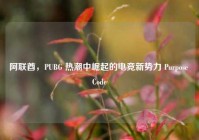 阿联酋，PUBG 热潮中崛起的电竞新势力 Purpose Code