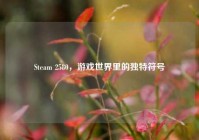 Steam 2580，游戏世界里的独特符号