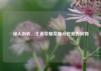 深入剖析，王者荣耀荣耀分究竟为何物