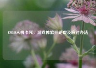 CSGO人机卡死，游戏体验拦路虎及应对办法