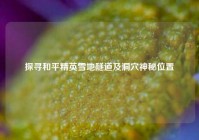 探寻和平精英雪地隧道及洞穴神秘位置