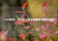 CSGO游戏，开启多元就业新通道与前景展望