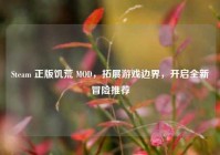 Steam 正版饥荒 MOD，拓展游戏边界，开启全新冒险推荐