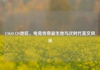CSGO CIS地区，电竞传奇诞生地与次时代英文风采