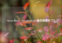 Steam Black，Steamblacksouls是否需要补丁？