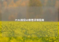 PUBG排位KD查看详细指南