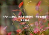 Mr与Steam兼容，开启游戏新体验，兼容起搏器功能亮点