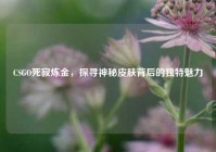 CSGO死寂炼金，探寻神秘皮肤背后的独特魅力