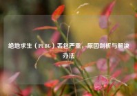 绝地求生（PUBG）丢包严重，原因剖析与解决办法
