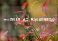 Steam 商店全黑，成因、解决办法及玩家困扰