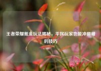 王者荣耀氪金玩法揭秘，平民玩家也能冲巅峰的技巧