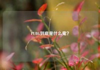 PUBG到底是什么鬼？