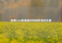 探索CSGO游客图中的别样竞技乐趣