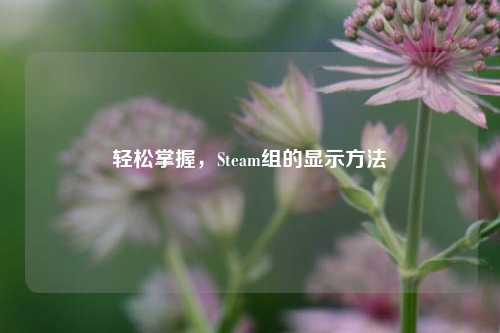 轻松掌握，Steam组的显示方法