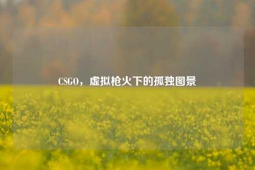 CSGO，虚拟枪火下的孤独图景
