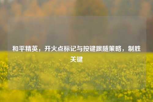和平精英，开火点标记与按键跟随策略，制胜关键