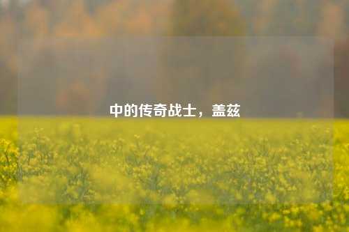 中的传奇战士，盖兹