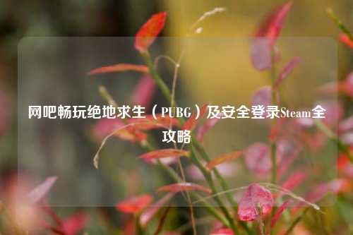 网吧畅玩绝地求生（PUBG）及安全登录Steam全攻略
