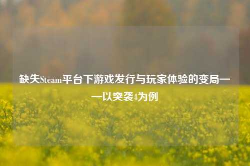 缺失Steam平台下游戏发行与玩家体验的变局——以突袭4为例