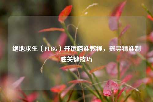 绝地求生（PUBG）开镜瞄准教程，探寻精准制胜关键技巧
