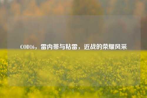 COD16，雷内蒂与粘雷，近战的荣耀风采