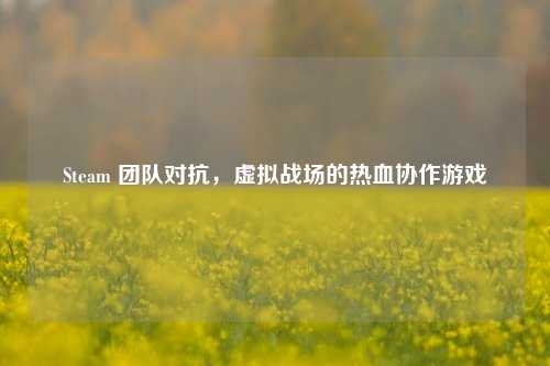Steam 团队对抗,虚拟战场的热血协作游戏