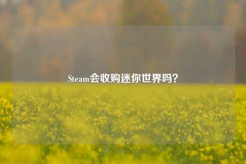 Steam会收购迷你世界吗?